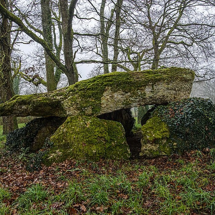 Photo de Dolmen de Chiroux à Plaisance