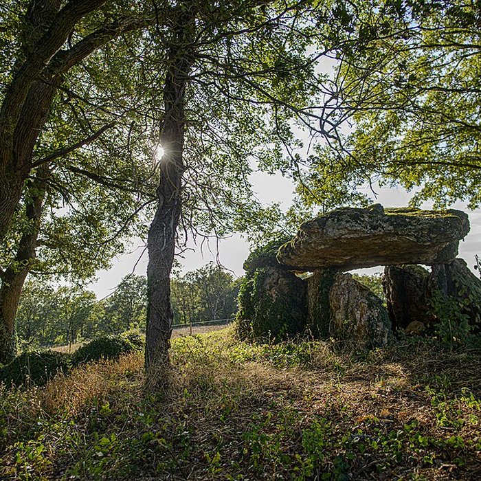 Photo de Dolmen de Chiroux à Plaisance