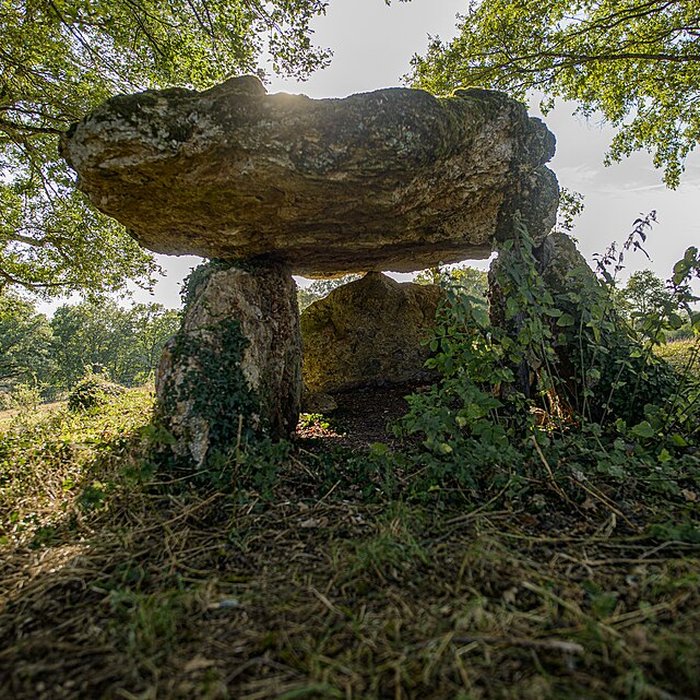 Photo de Dolmen de Chiroux à Plaisance