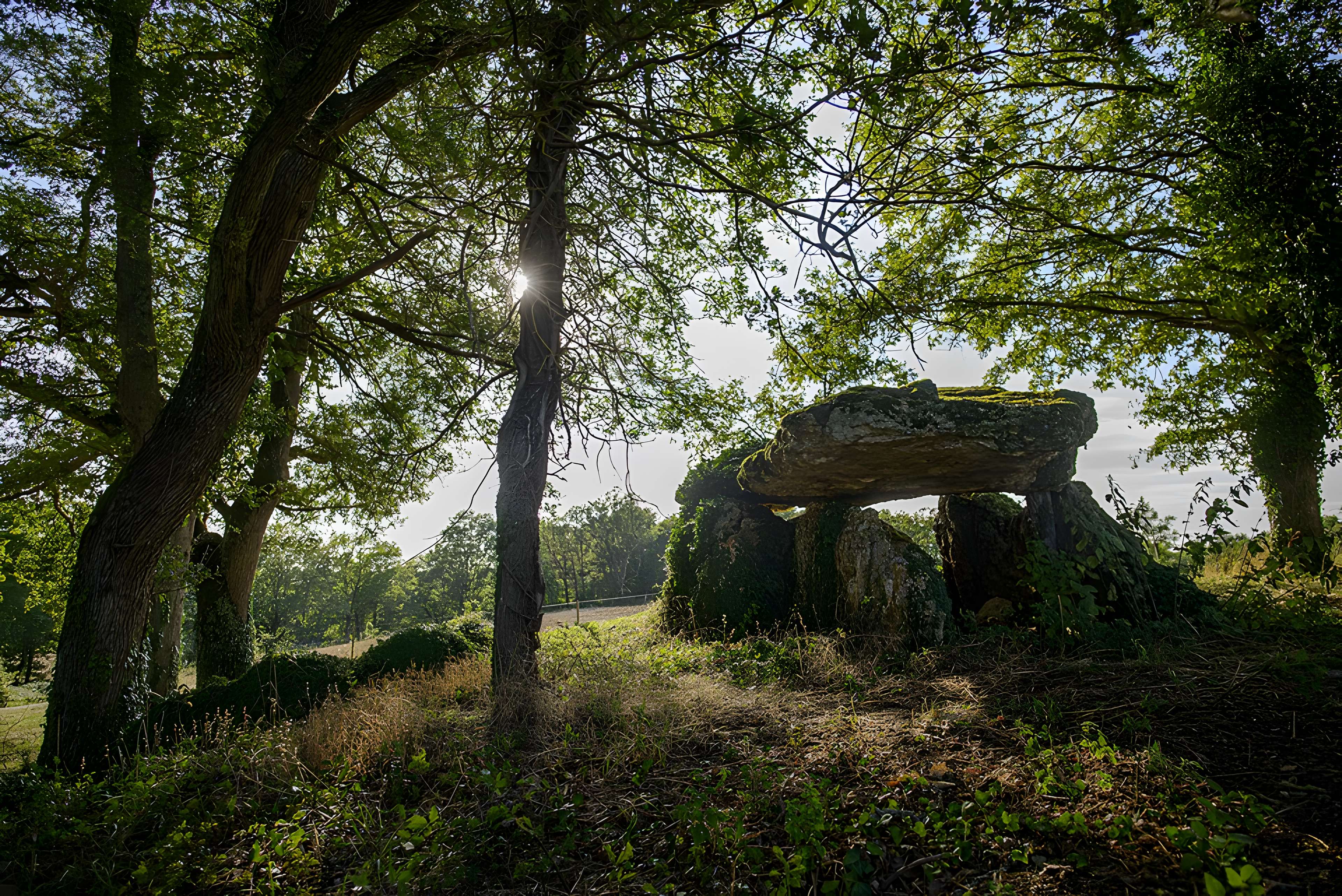 Dolmen de Chiroux à Plaisance