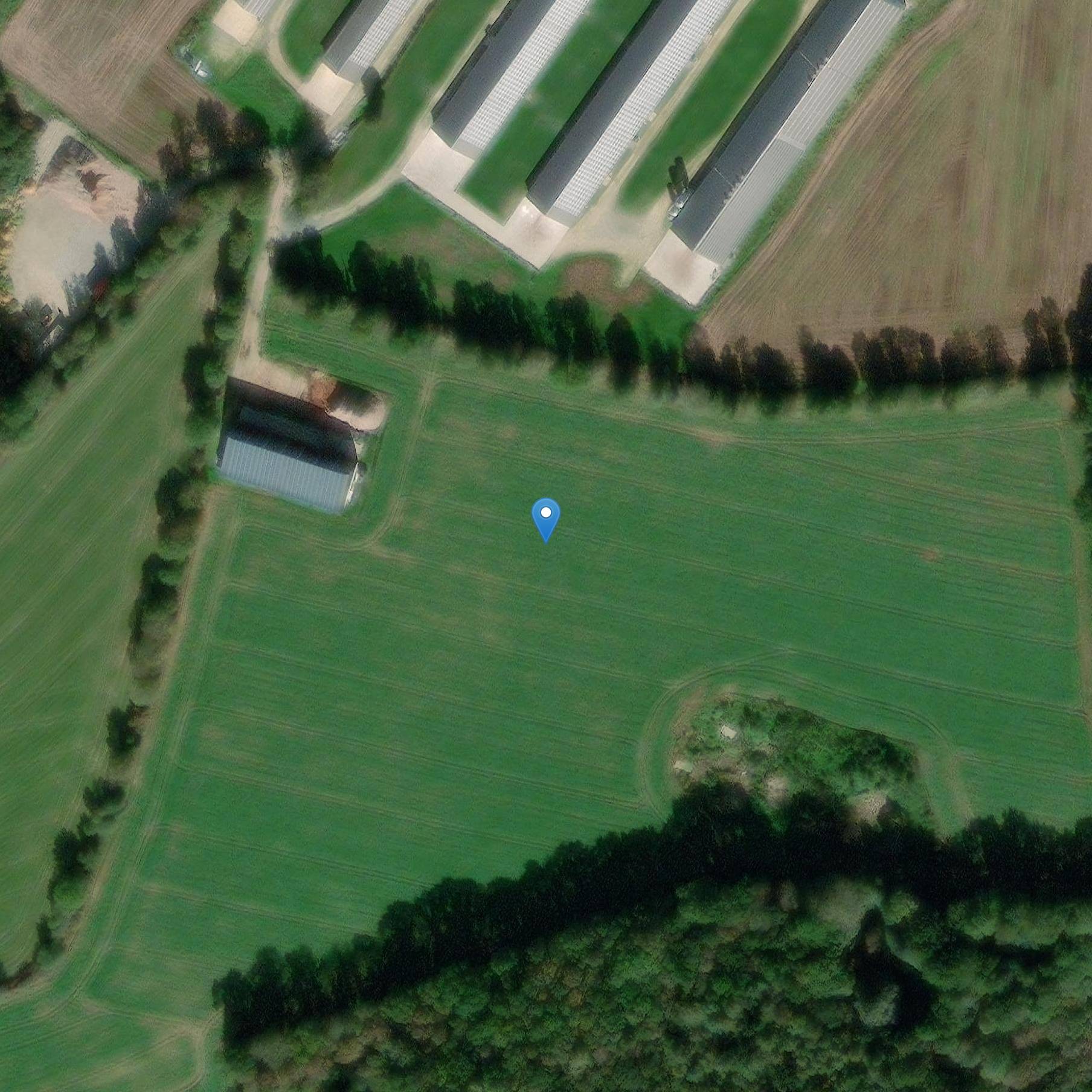 Photo de 从科埃特比到特雷迪翁的多尔门人