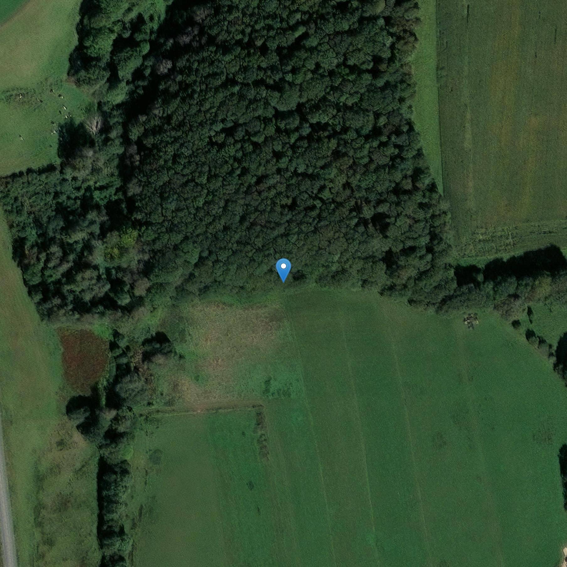 Photo de Dolmen de Coët-er-Rui in Saint-Allwestre