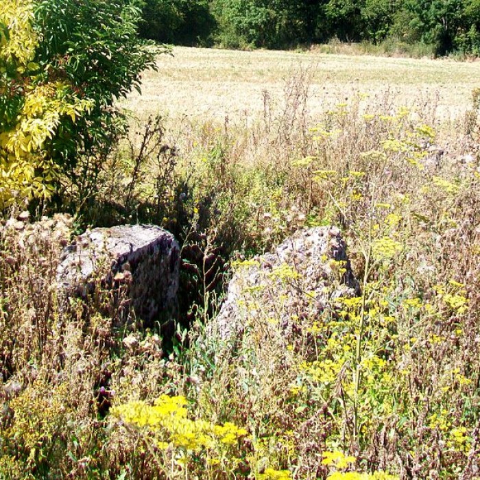 Photo de Dolmen de Coppière à Montreuil-sur-Epte