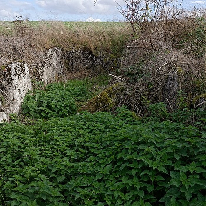 Photo de Dolmen de Coppière à Montreuil-sur-Epte