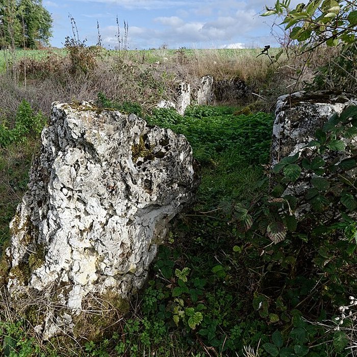Photo de Dolmen de Coppière à Montreuil-sur-Epte