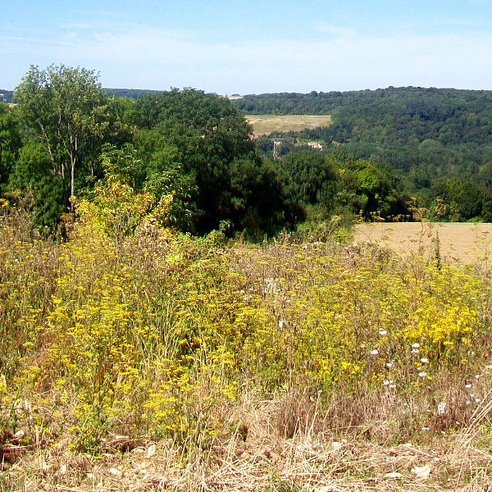 Photo de Dolmen de Coppière à Montreuil-sur-Epte