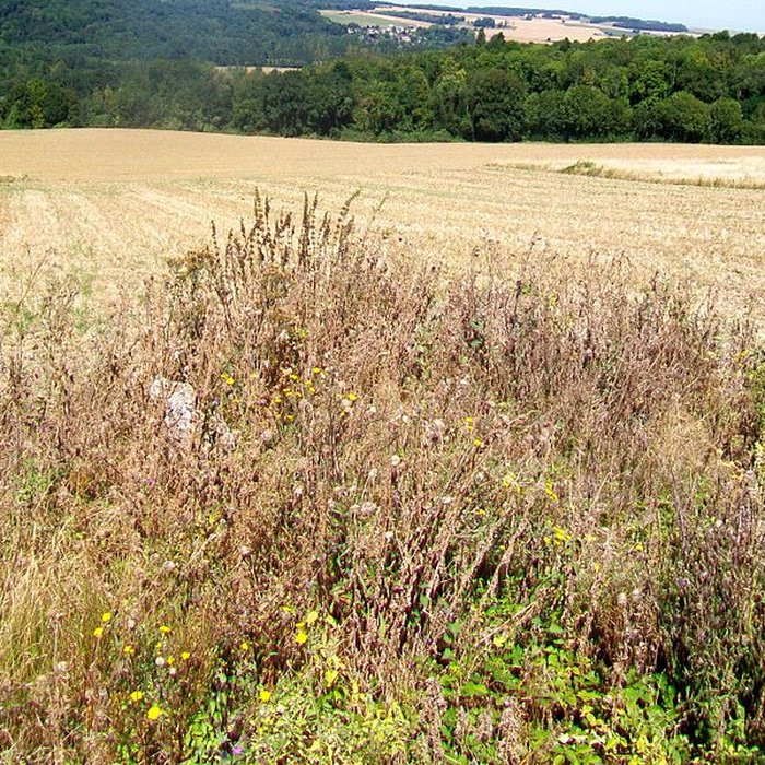 Photo de Dolmen de Coppière à Montreuil-sur-Epte
