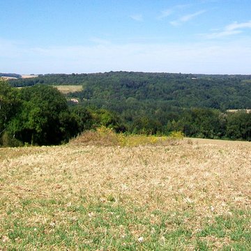 Dolmen de Coppière à Montreuil-sur-Epte
