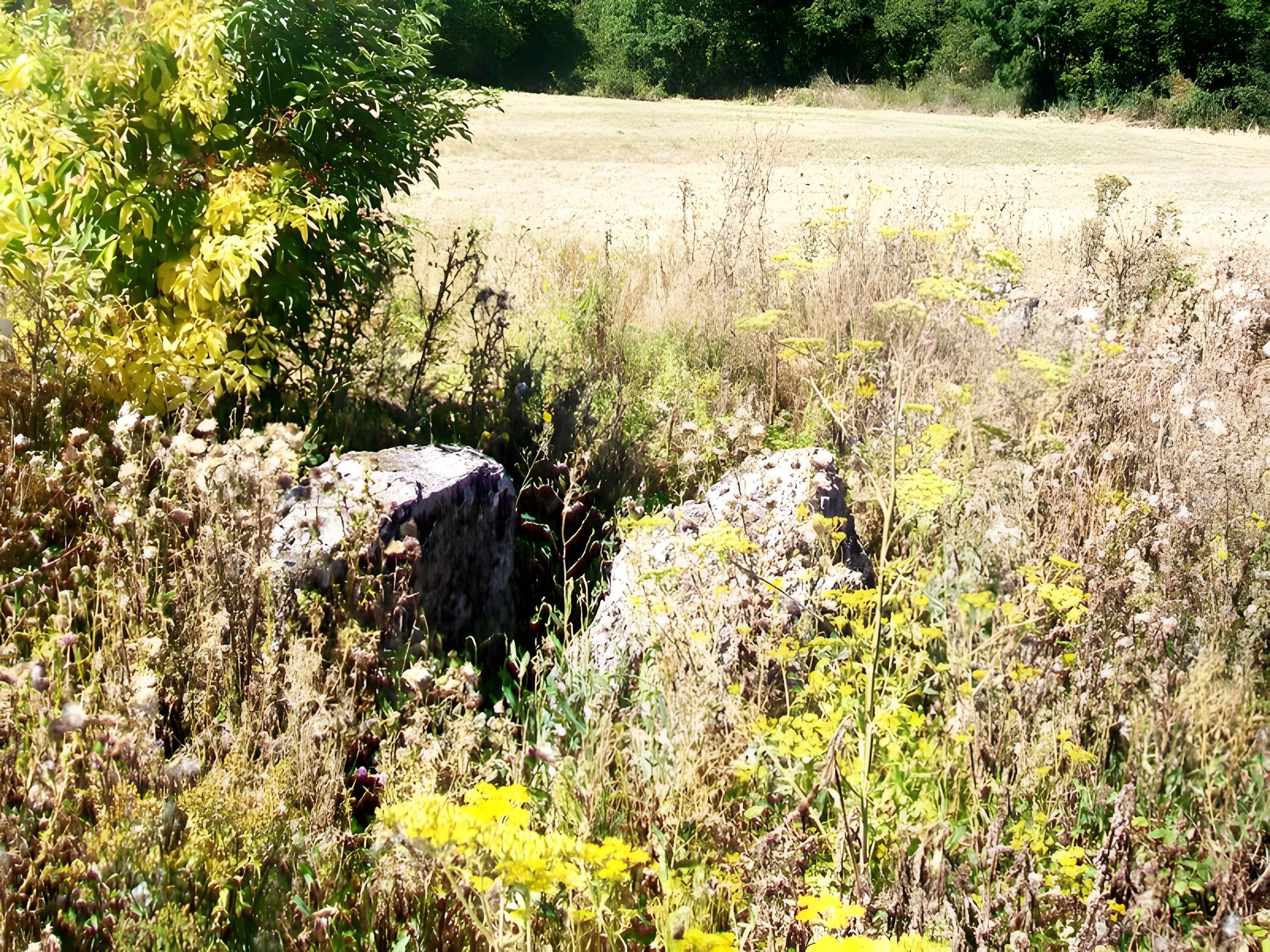 Dolmen de Coppière à Montreuil-sur-Epte 