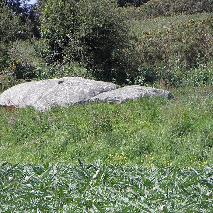 Photo de Dolmen de Creach-ar-Vren à Plouescat