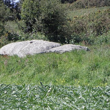 Dolmen de Creach-ar-Vren à Plouescat