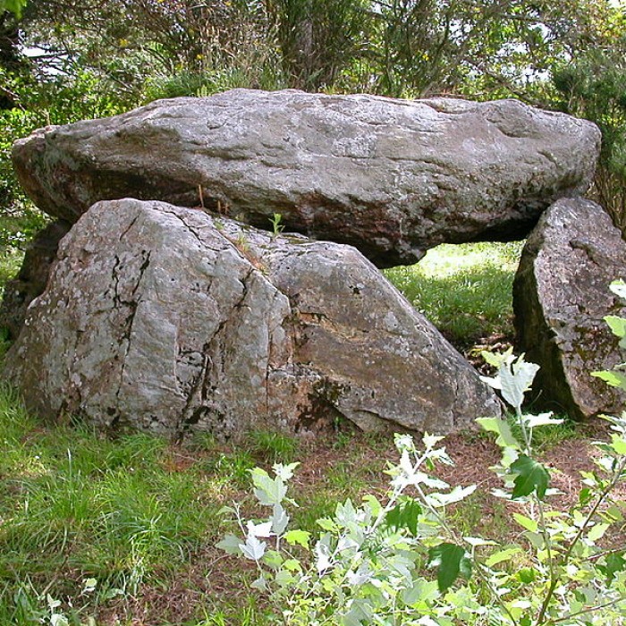 Photo de Dolmen de Gornevèse à Séné