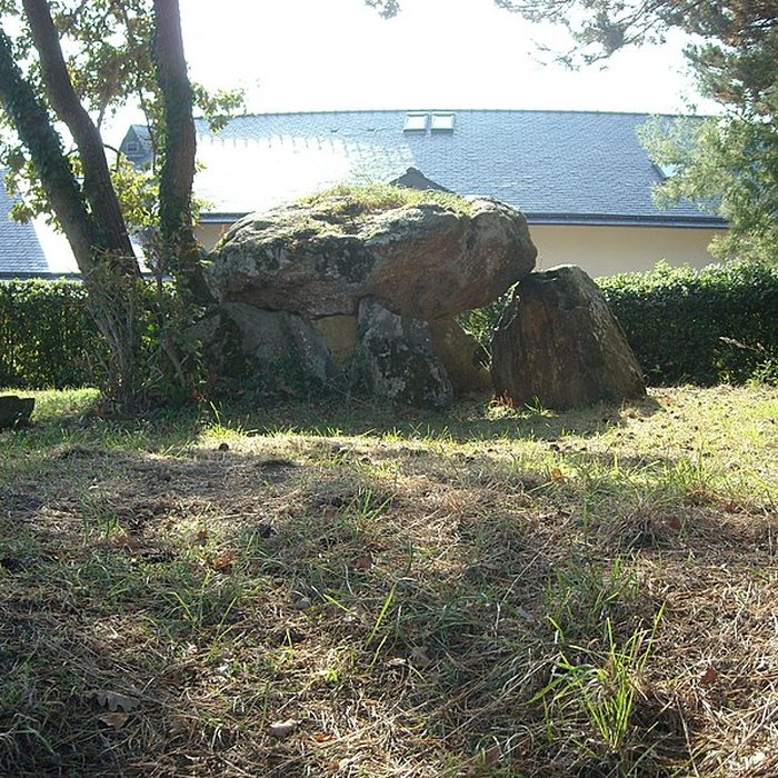 Photo de Dolmen de Gornevèse à Séné