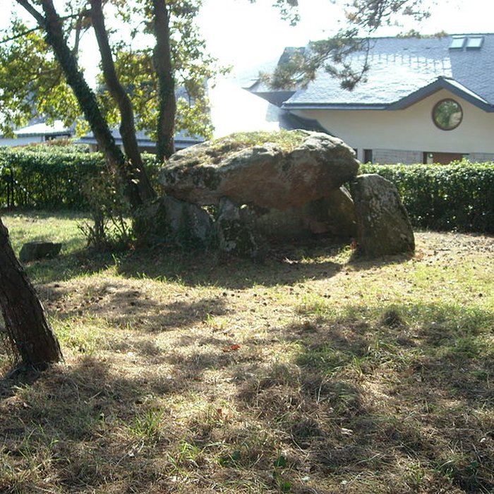 Photo de Dolmen de Gornevèse à Séné