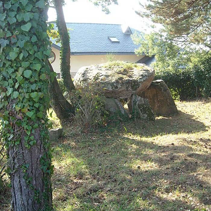 Photo de Dolmen de Gornevèse à Séné