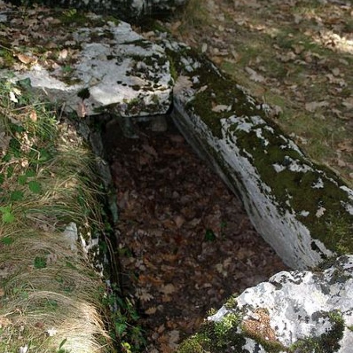 Photo de Dolmen de Goudère à Gabre