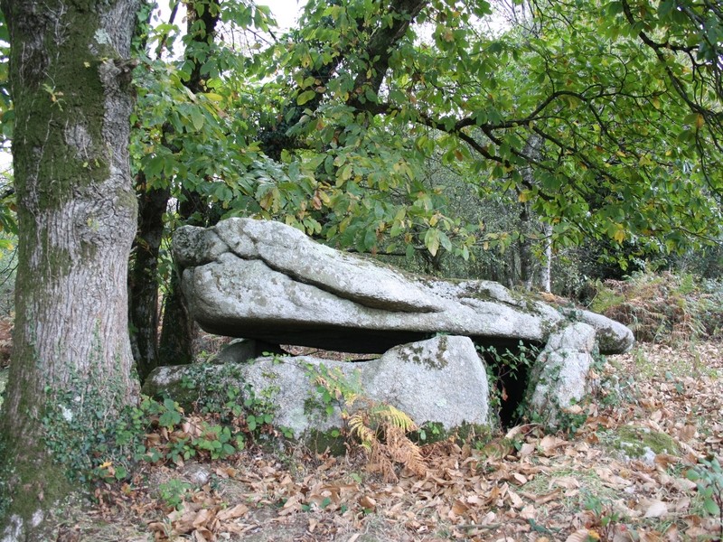 Photo de Dolmen de Guidfosse à Plouray