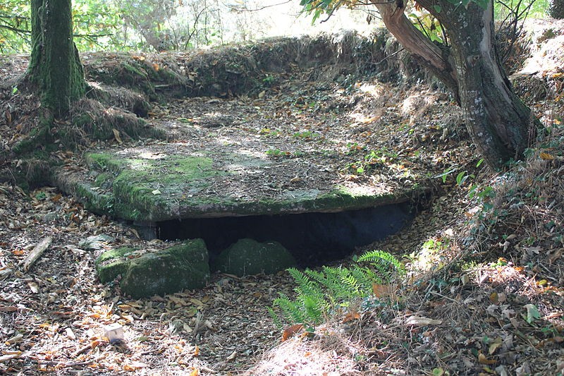 Photo de Dolmen de Kergonfalz à Bignan