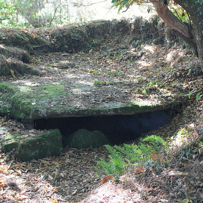 Photo de Dolmen de Kergonfalz à Bignan