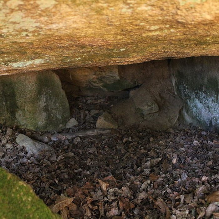 Photo de Dolmen de Kergonfalz à Bignan
