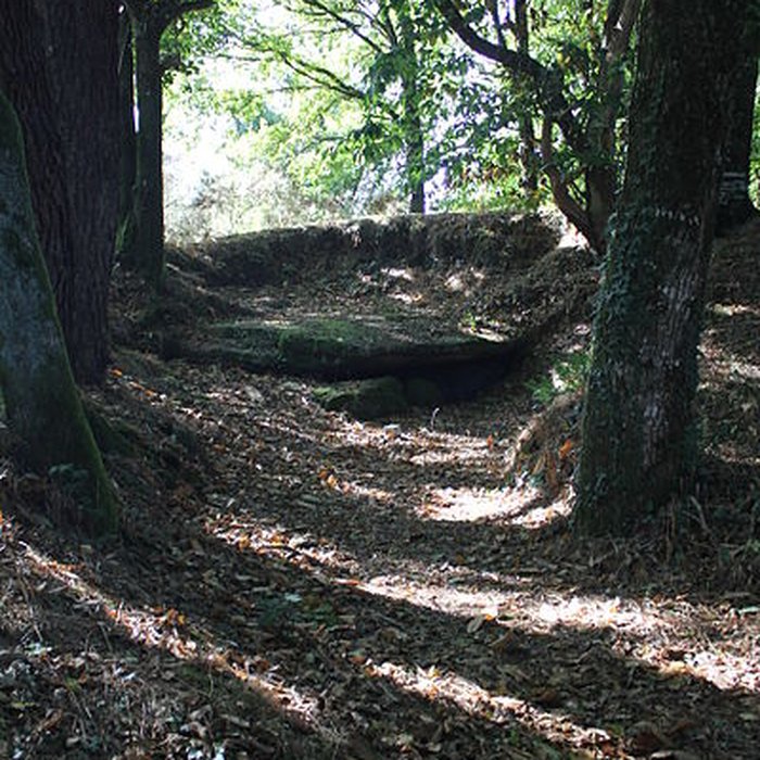 Photo de Dolmen de Kergonfalz à Bignan