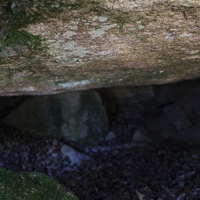 Photo de Dolmen de Kergonfalz à Bignan