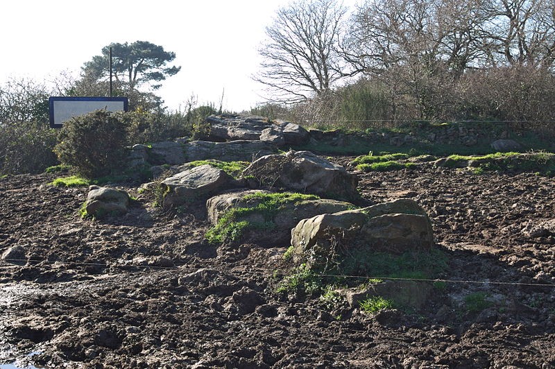 Photo de Dolmen de Kervehennec à Saint-Philibert