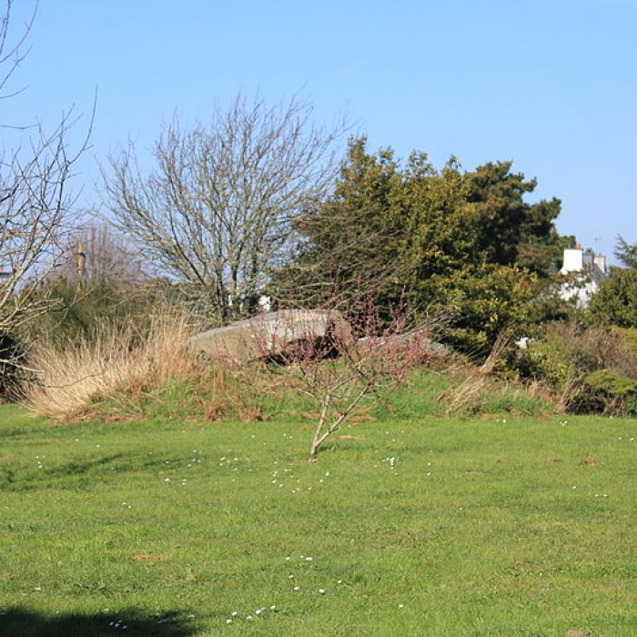 Photo de Dolmen de Kerveresse à Locmariaquer