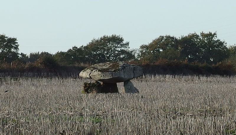 Photo de Dolmen de Kervingu à Pluneret