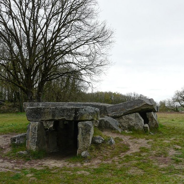 Photo de Dolmen de la Bajoulière à Saint-Rémy-la-Varenne