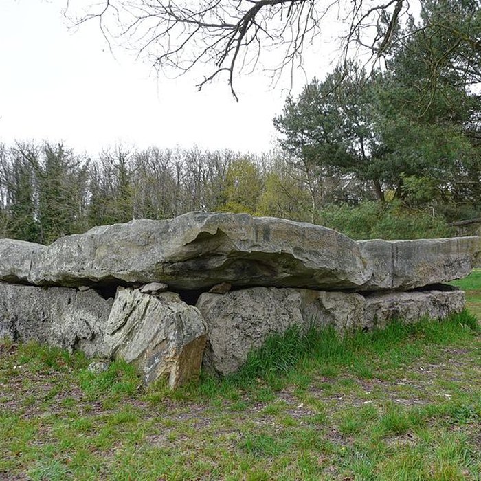 Photo de Dolmen de la Bajoulière à Saint-Rémy-la-Varenne