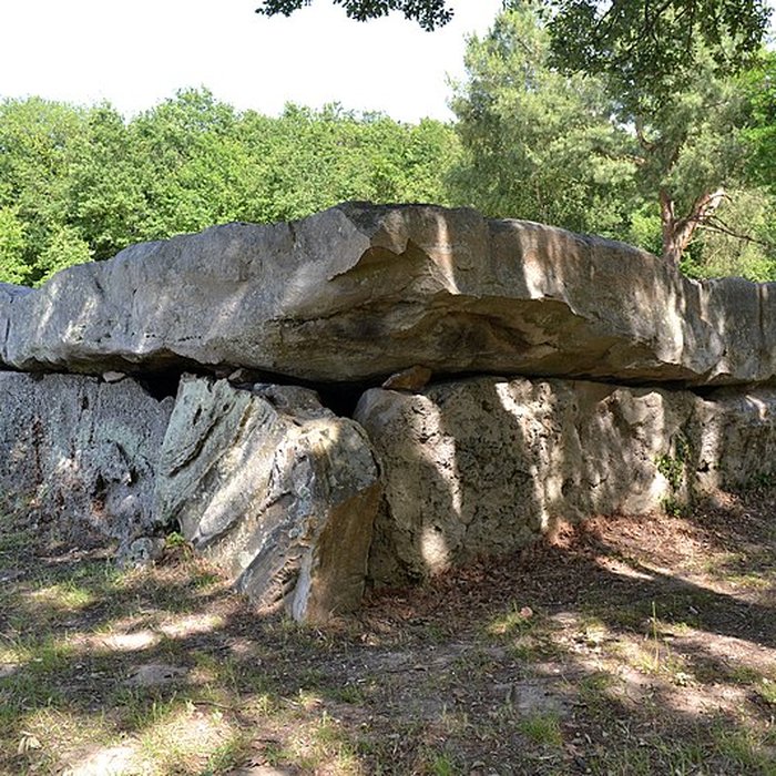 Photo de Dolmen de la Bajoulière à Saint-Rémy-la-Varenne