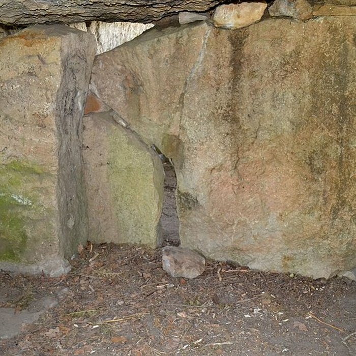 Photo de Dolmen de la Bajoulière à Saint-Rémy-la-Varenne