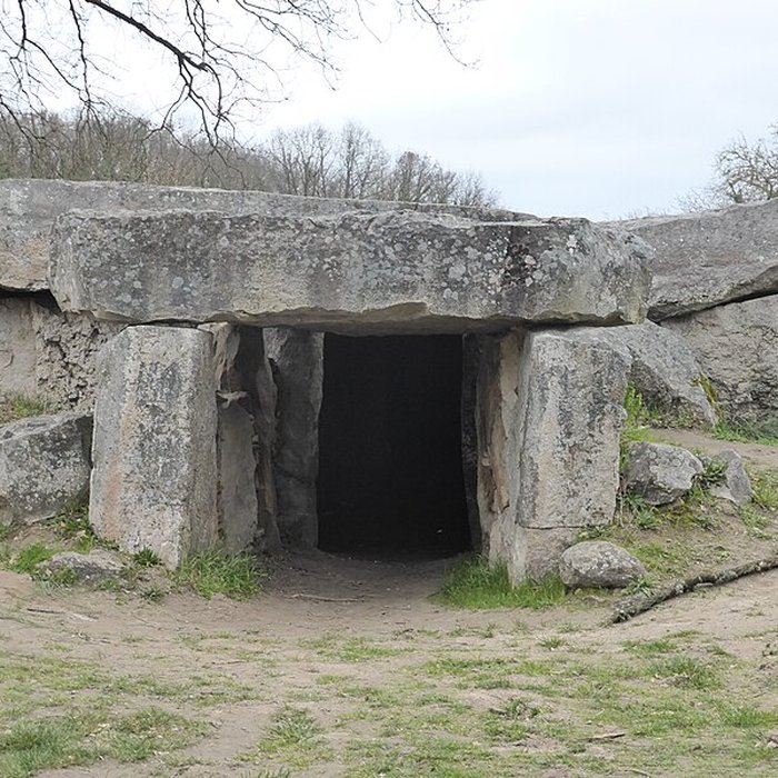 Photo de Dolmen de la Bajoulière à Saint-Rémy-la-Varenne