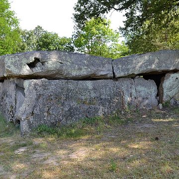 Dolmen de la Bajoulière à Saint-Rémy-la-Varenne
