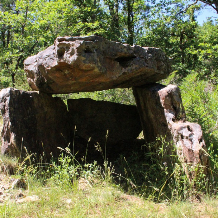 Photo de Dolmen de la Bertrandoune à Prayssac