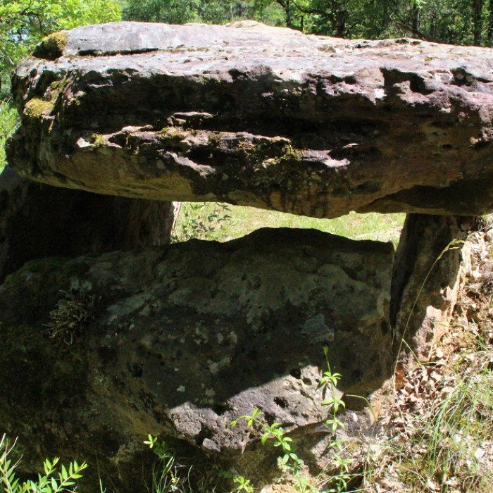Photo de Dolmen de la Bertrandoune à Prayssac