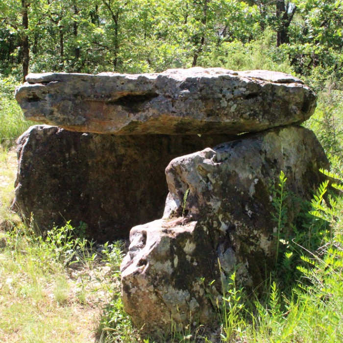 Photo de Dolmen de la Bertrandoune à Prayssac