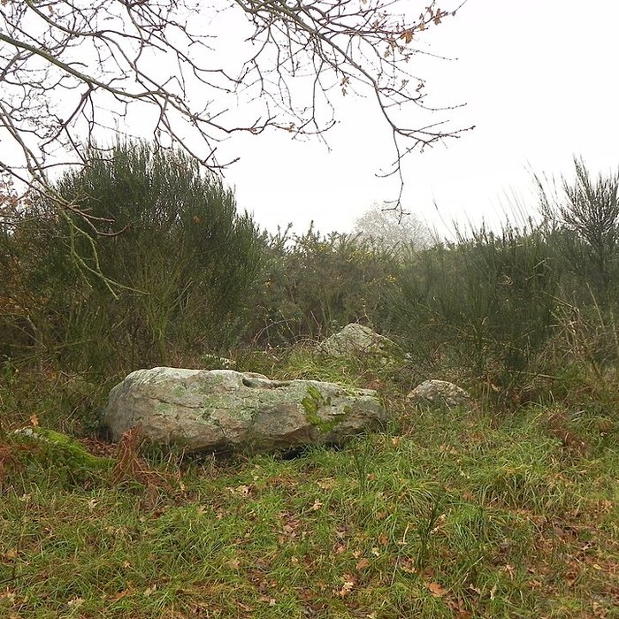 Photo de Dolmen de la Briordais à Saint-Brevin-les-Pins