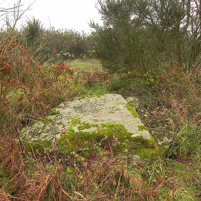 Photo de Dolmen de la Briordais à Saint-Brevin-les-Pins