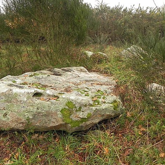 Photo de Dolmen de la Briordais à Saint-Brevin-les-Pins