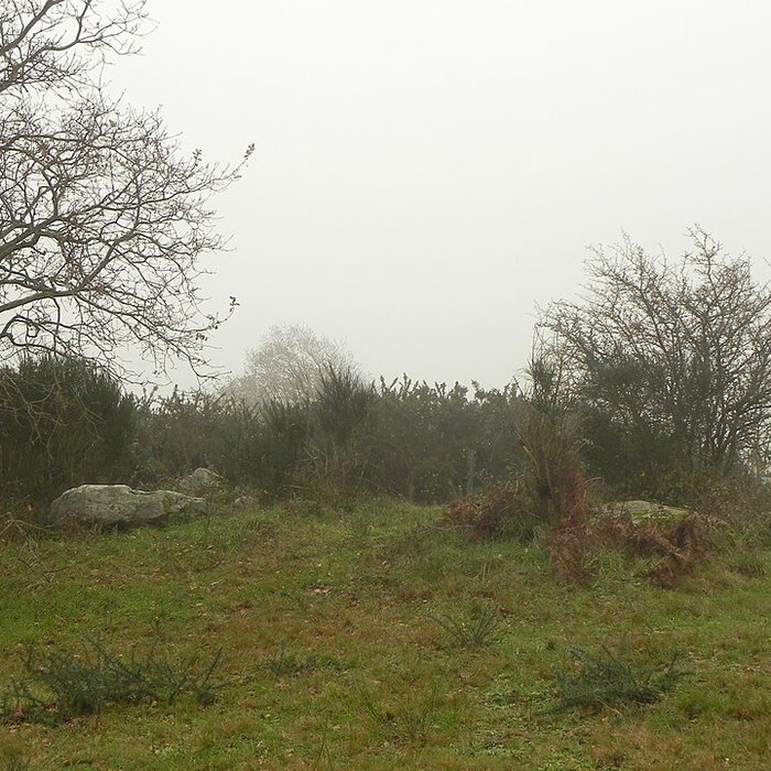 Photo de Dolmen de la Briordais à Saint-Brevin-les-Pins