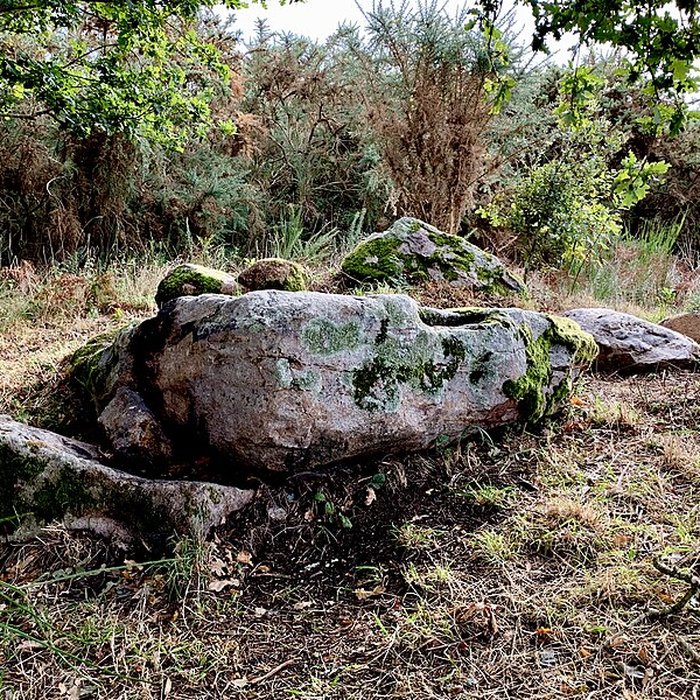 Photo de Dolmen de la Briordais à Saint-Brevin-les-Pins