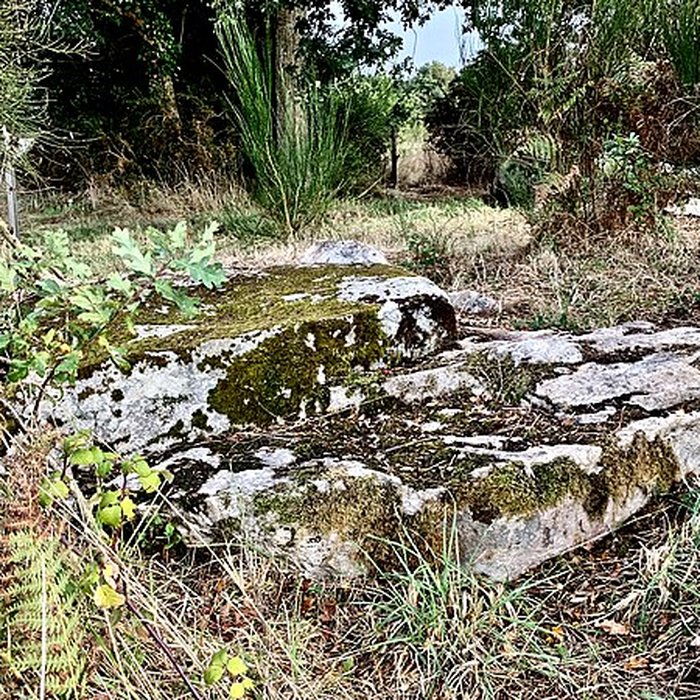 Photo de Dolmen de la Briordais à Saint-Brevin-les-Pins