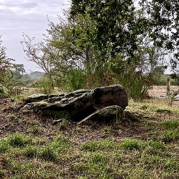 Photo de Dolmen de la Briordais à Saint-Brevin-les-Pins