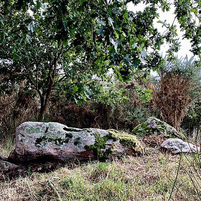 Photo de Dolmen de la Briordais à Saint-Brevin-les-Pins
