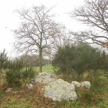 dolmen de la briordais a saint brevin les pins