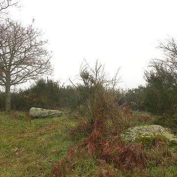 Dolmen de la Briordais à Saint-Brevin-les-Pins
