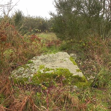 Dolmen de la Briordais à Saint-Brevin-les-Pins