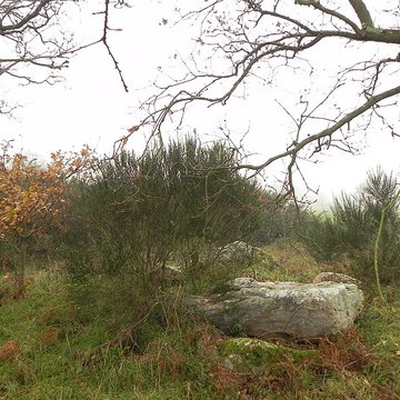 Dolmen de la Briordais à Saint-Brevin-les-Pins